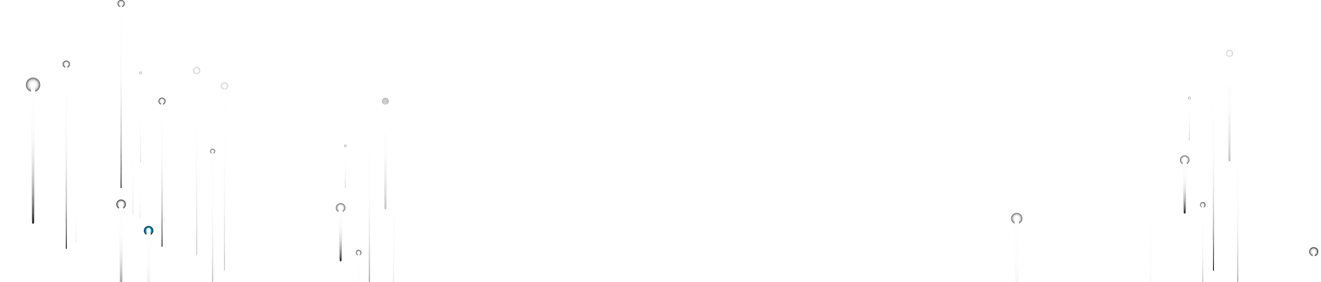 Vision SVG Overlay